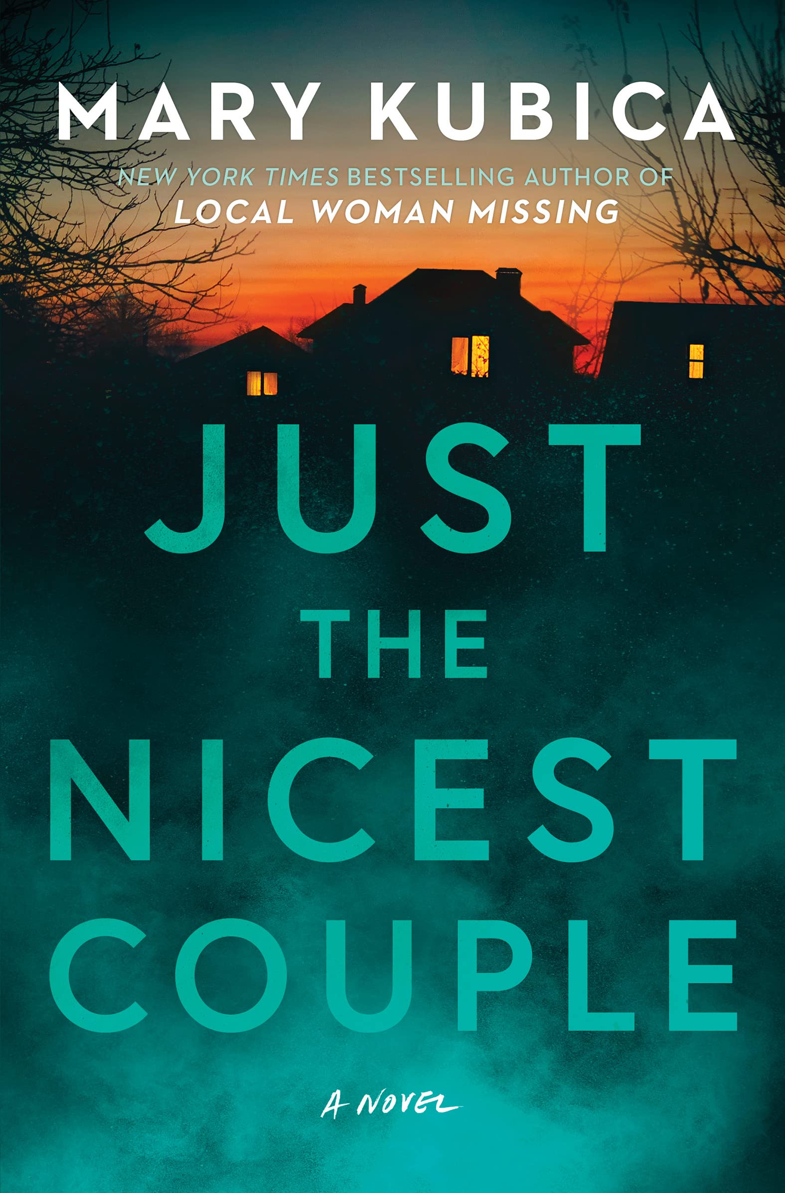 Just the Nicest Couple: A Novel
