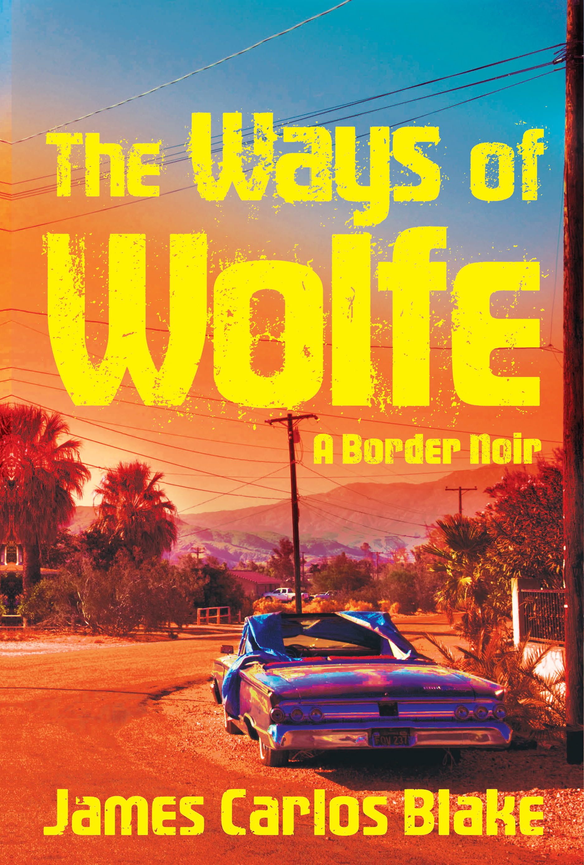 Ways of Wolfe (Border Noir, 3, Band 3)