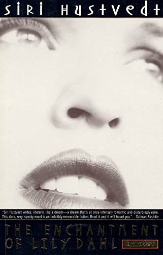 The Enchantment of Lily Dahl: A Novel