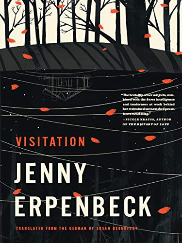 VISITATION (New Directions Paperbook)