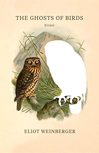 The Ghosts of Birds: Essays