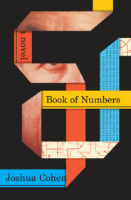 Book of Numbers: A Novel
