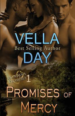 Promises of Mercy (Montana Promises, Band 1)