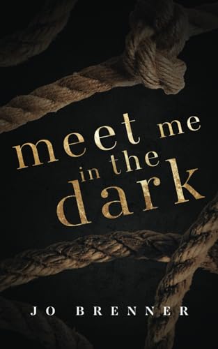 Meet Me In The Dark (Bad Heroes, Band 3)