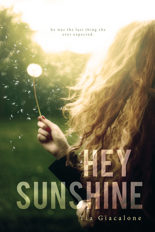 Hey Sunshine (Hey Sunshine series, Band 1)