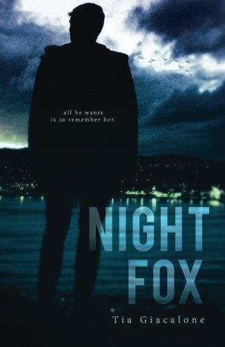 Night Fox (Hey Sunshine series)