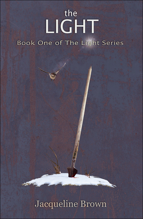 The Light: Who do you become when the world falls away?