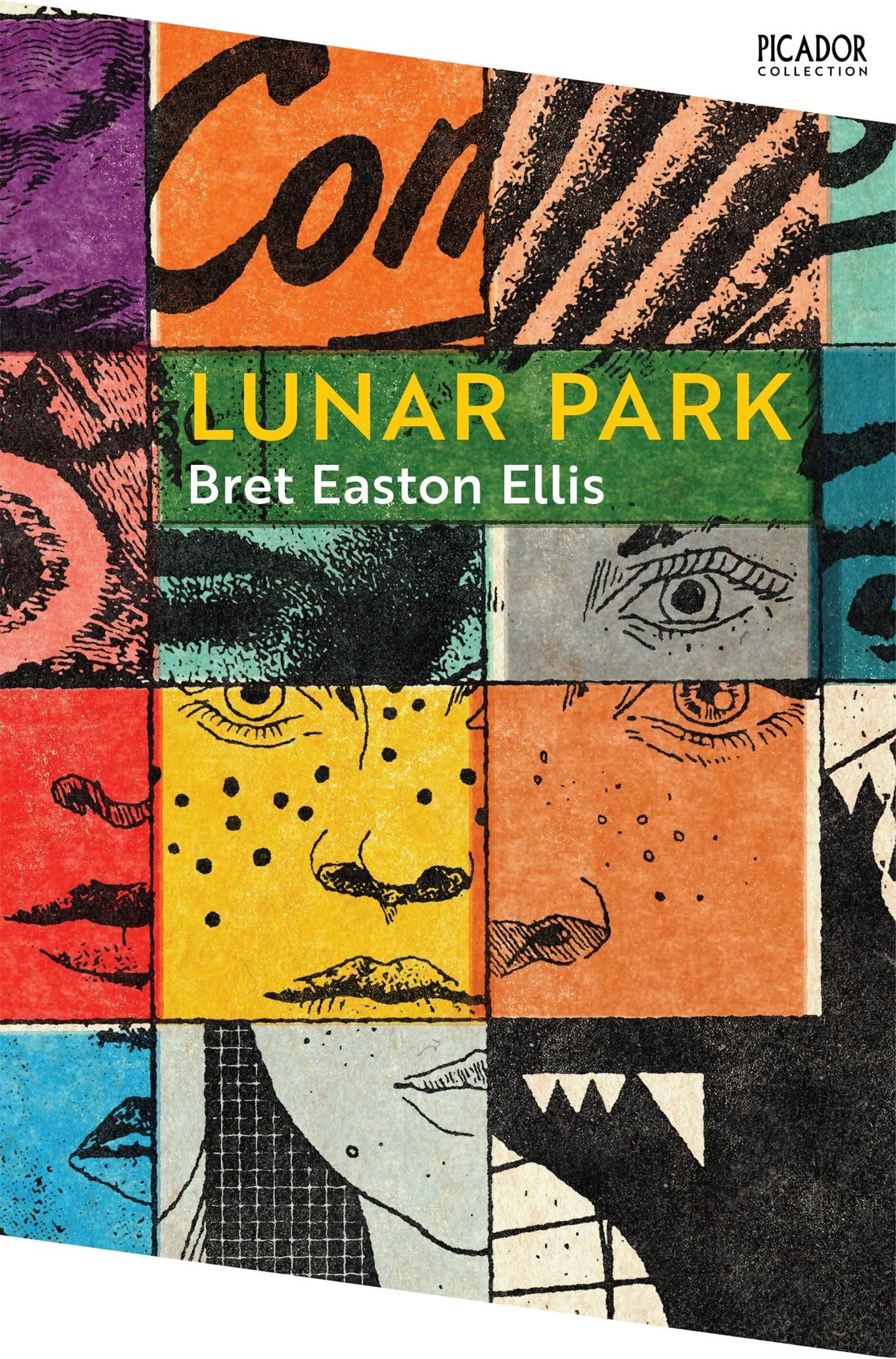 Lunar Park (Picador Collection)