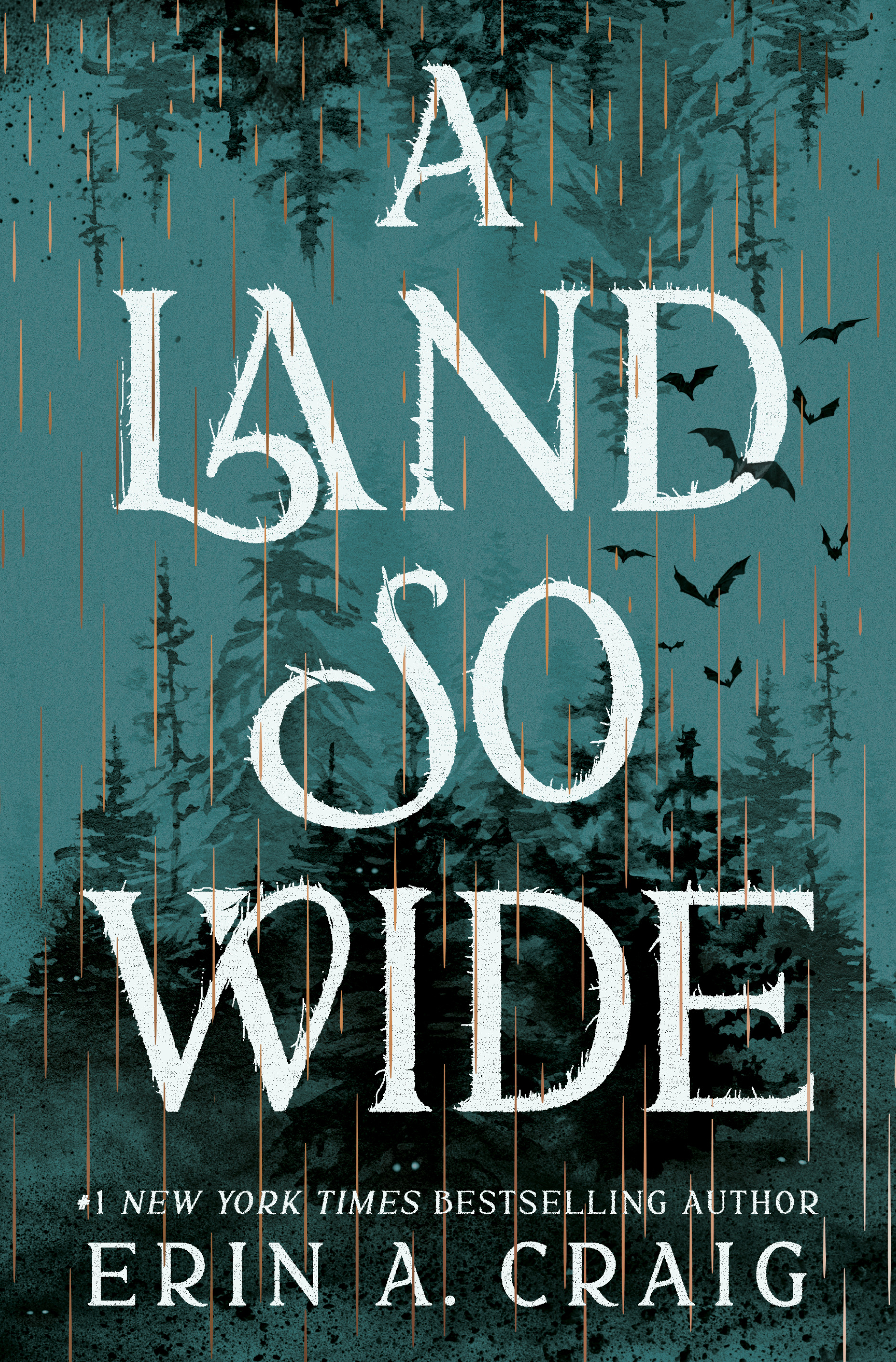 A Land So Wide: A breathtaking, deliciously dark fairy tale from #1 New York Times and USA Today bestselling author Erin A. Craig