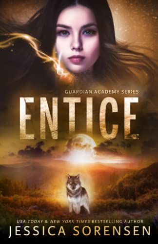 Entice (Guardian Academy, Band 4)