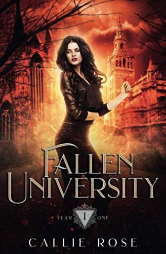 Fallen University: Year One: A Reverse Harem Paranormal Romance