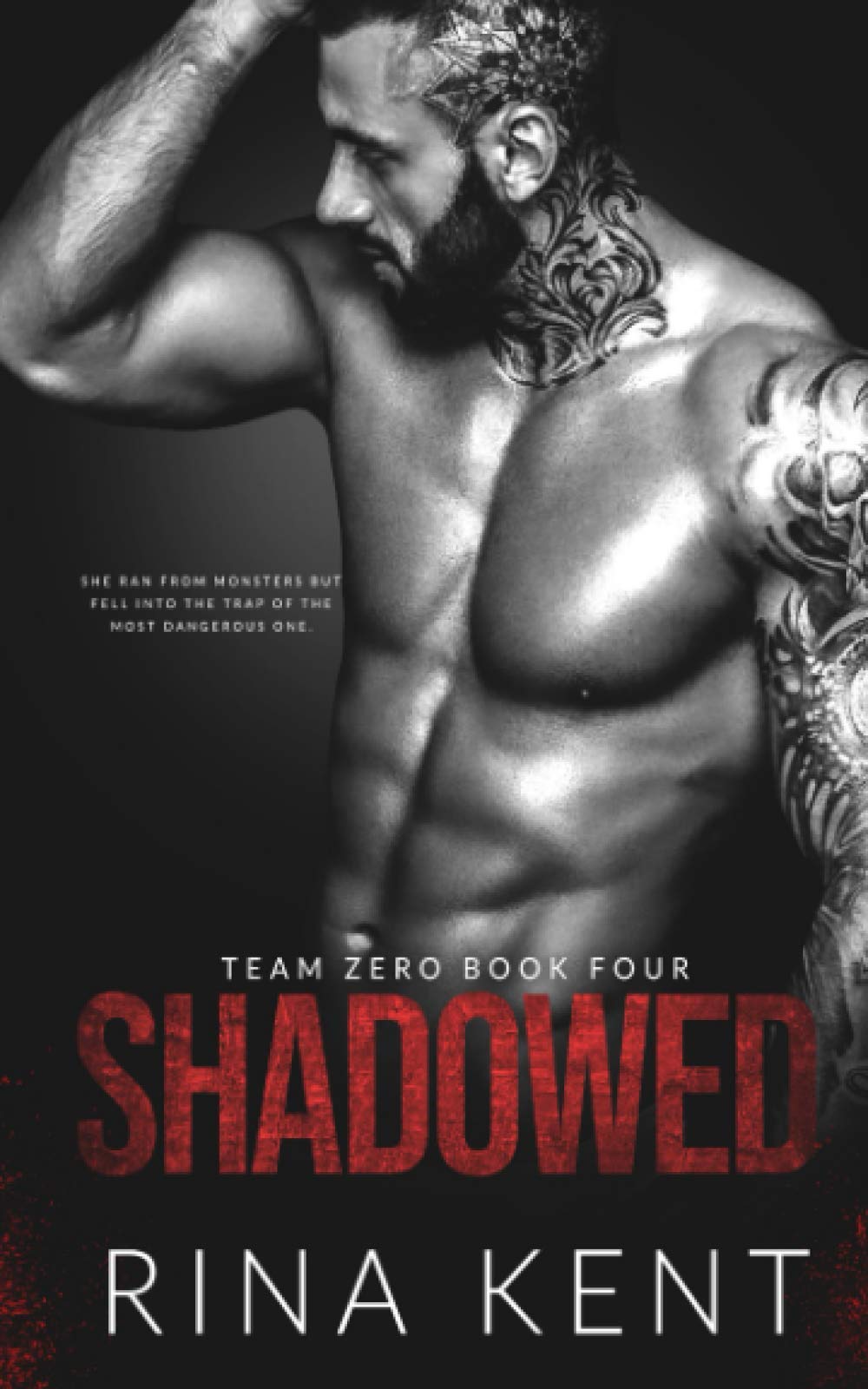 Shadowed: A Hitman Mafia Romance (Team Zero, Band 4)