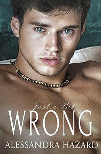 Just a Bit Wrong (Straight Guys, Band 4)