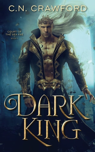 Dark King (Shadow Fae, Band 8)