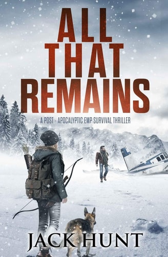 All That Remains: A Post-Apocalyptic EMP Survival Thriller (Lone Survivor, Band 1)