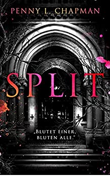 Split: Eine Unfolding Novelle (Rebels of St. Cilline, Band 2)