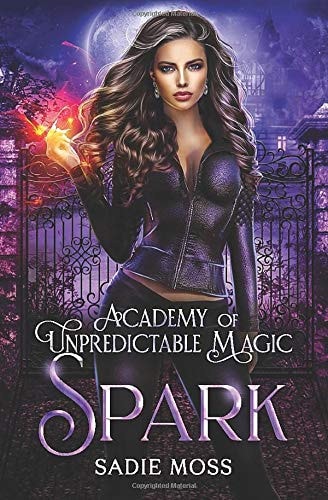 Spark: A Reverse Harem Series (Academy of Unpredictable Magic, Band 1)