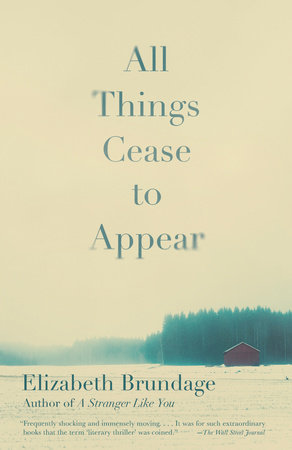 All Things Cease to Appear: Elizabeth Brundage