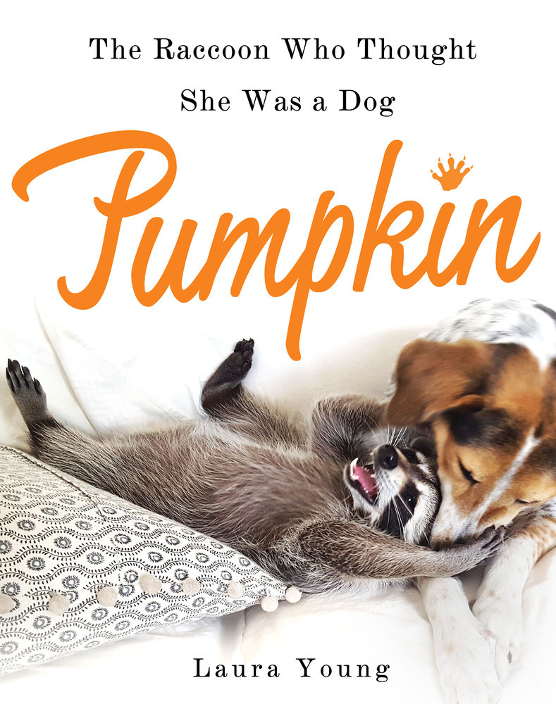 PUMPKIN THE RACCOON WHO THOUGH: The Raccoon Who Thought She Was a Dog