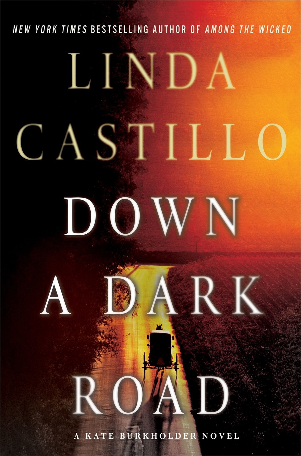 Down a Dark Road: A Kate Burkholder Novel