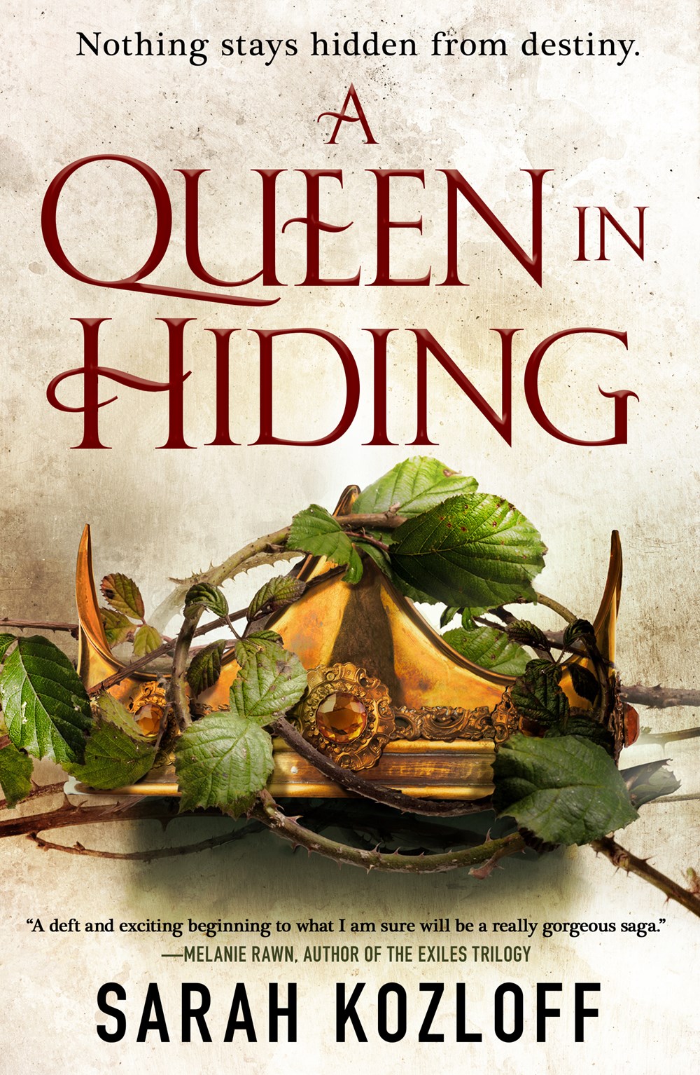 Queen in Hiding (Nine Realms, 1, Band 1)