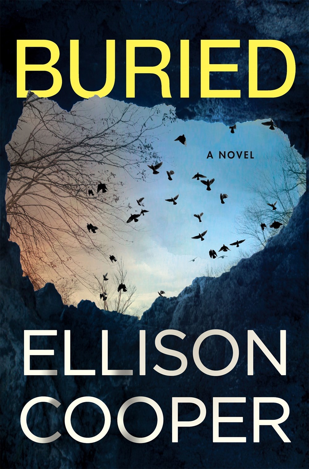 Buried (Agent Sayer Altair)