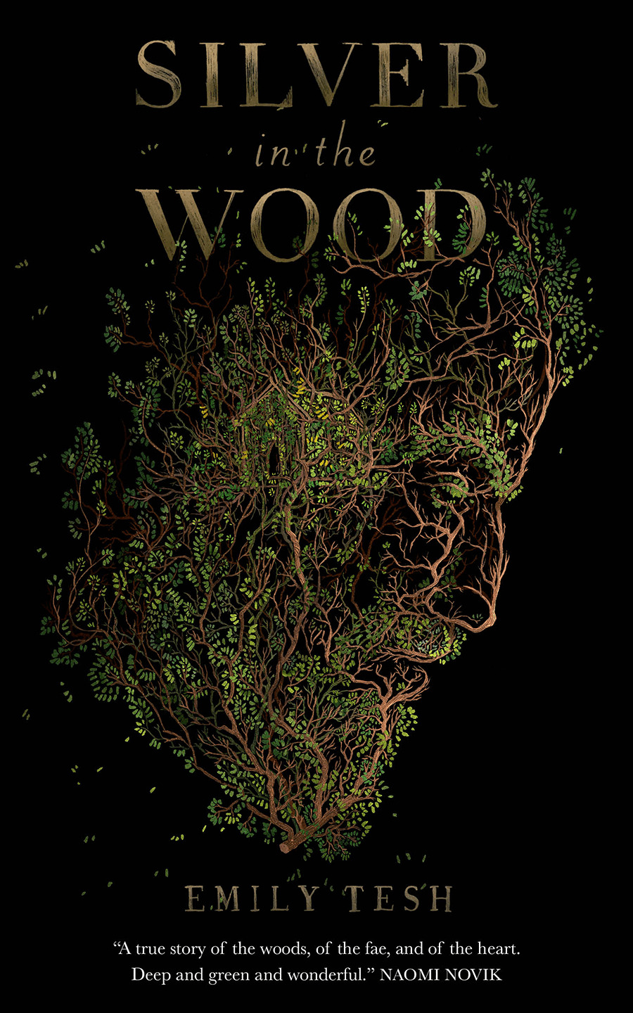 Silver in the Wood (The Greenhollow Duology)