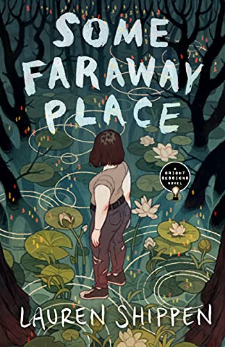 Some Faraway Place: A Bright Sessions Novel (A Bright Sessions Novel, 3, Band 3)