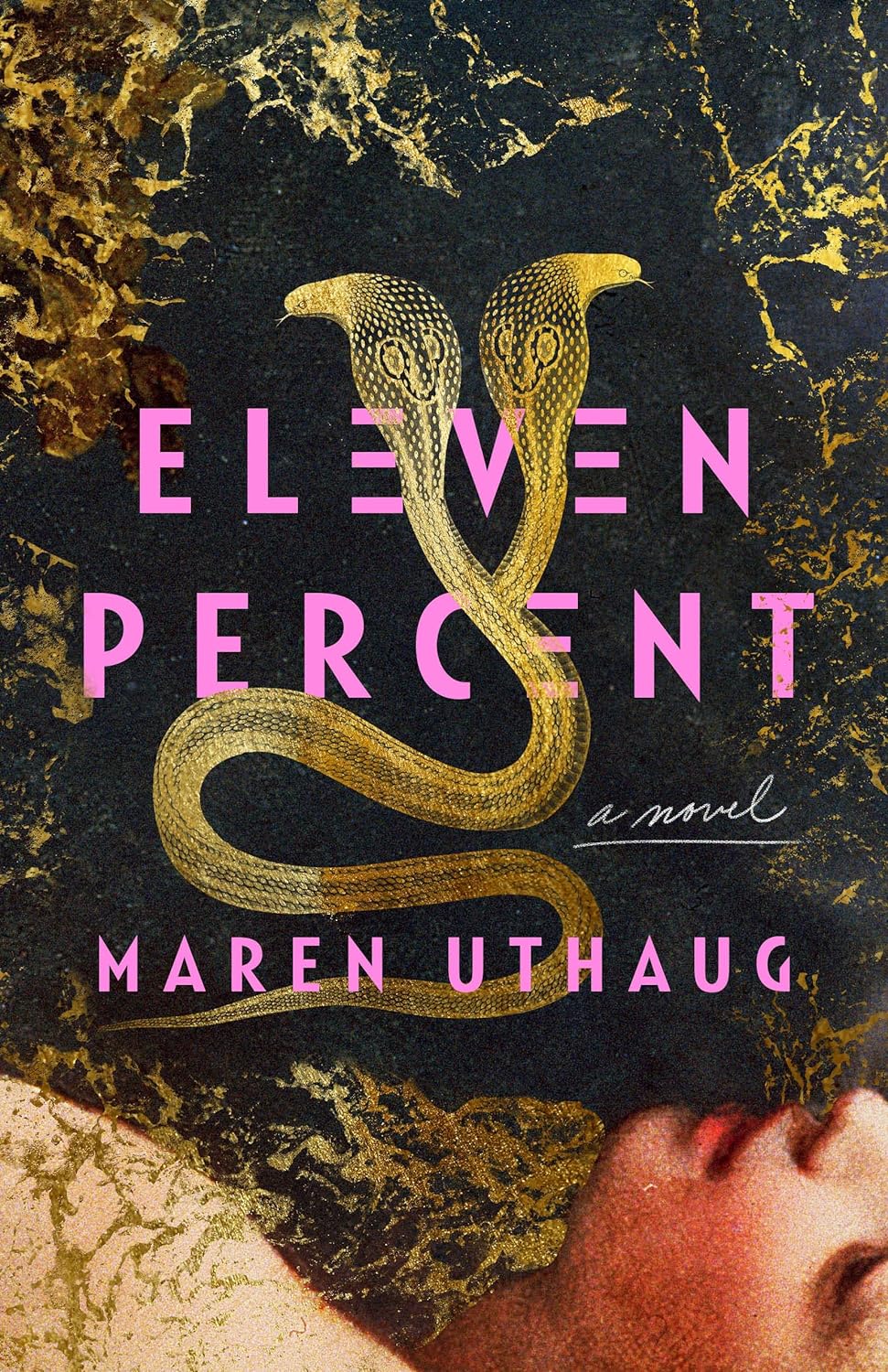 Eleven Percent: A Novel