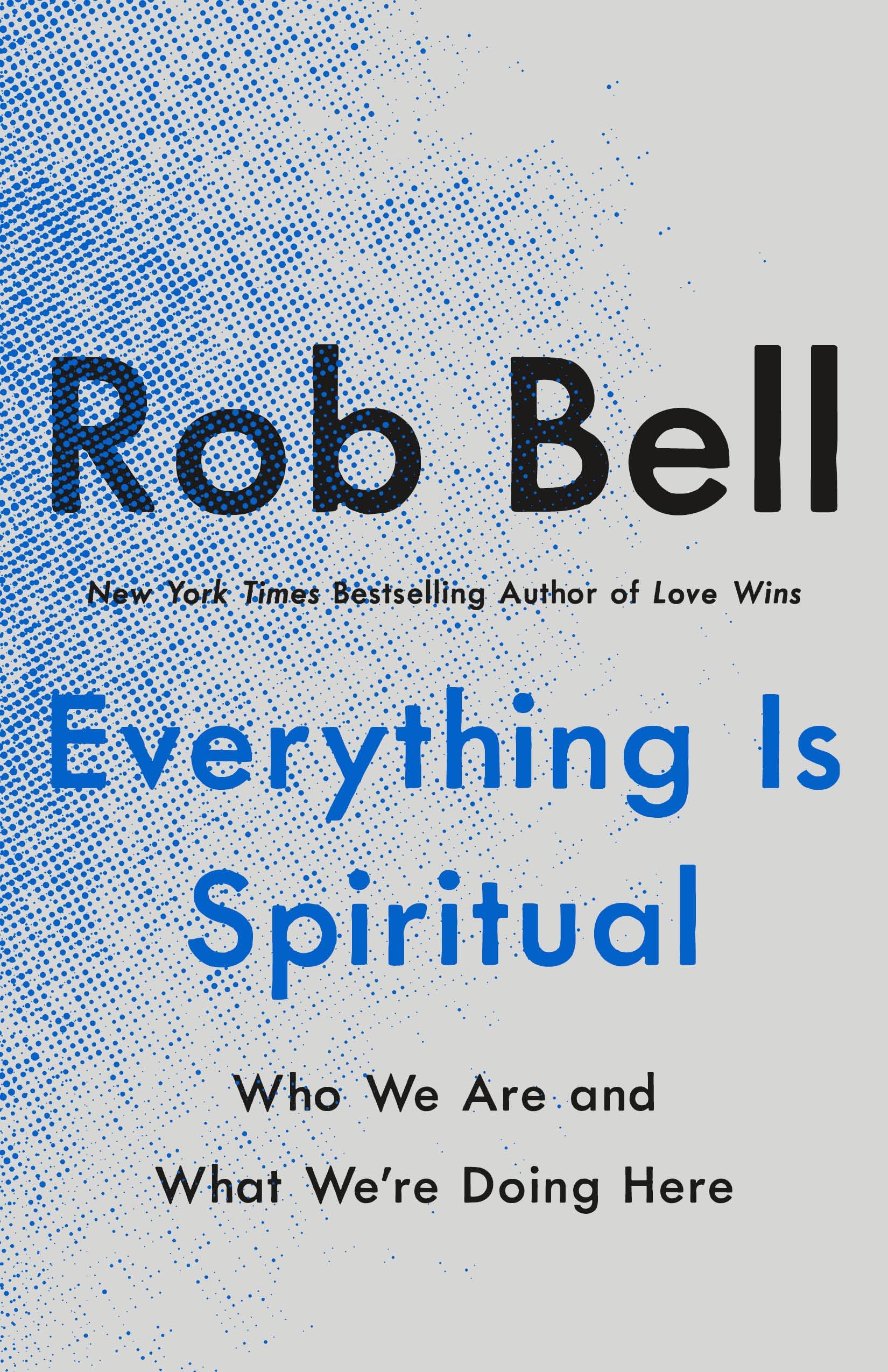 Everything Is Spiritual: Who We Are and What We're Doing Here: Finding Your Way in a Turbulent World