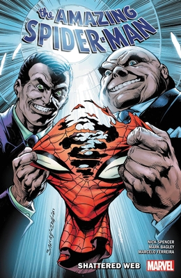 Amazing Spider-Man by Nick Spencer Vol. 12: Shattered Web (THE AMAZING SPIDER-MAN, Band 12)