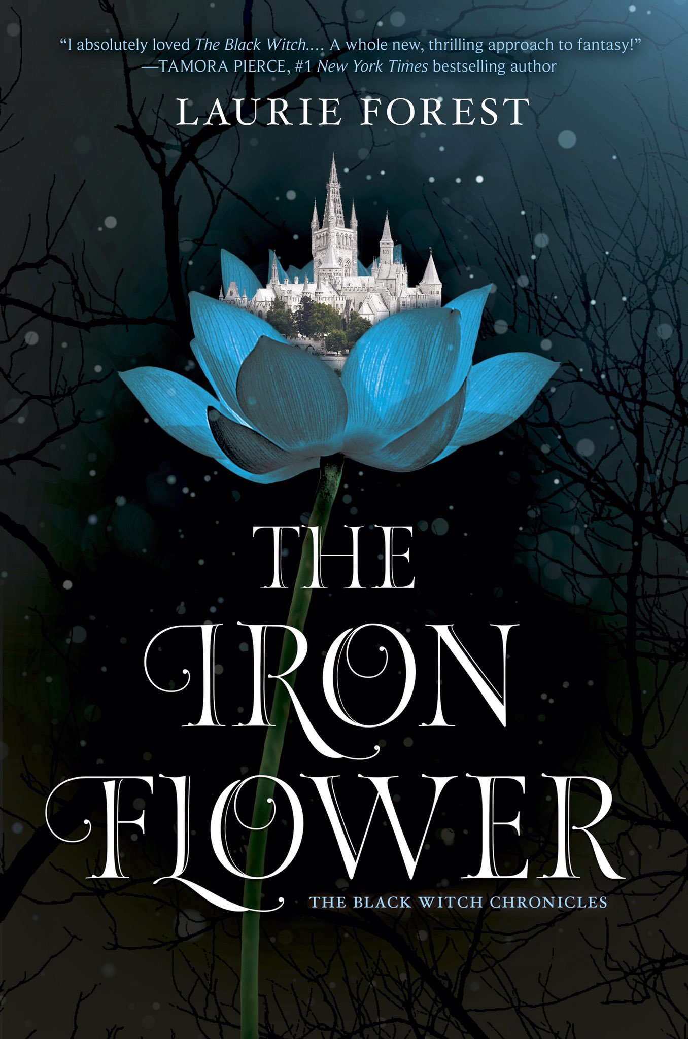 The Iron Flower (The Black Witch Chronicles, 2)