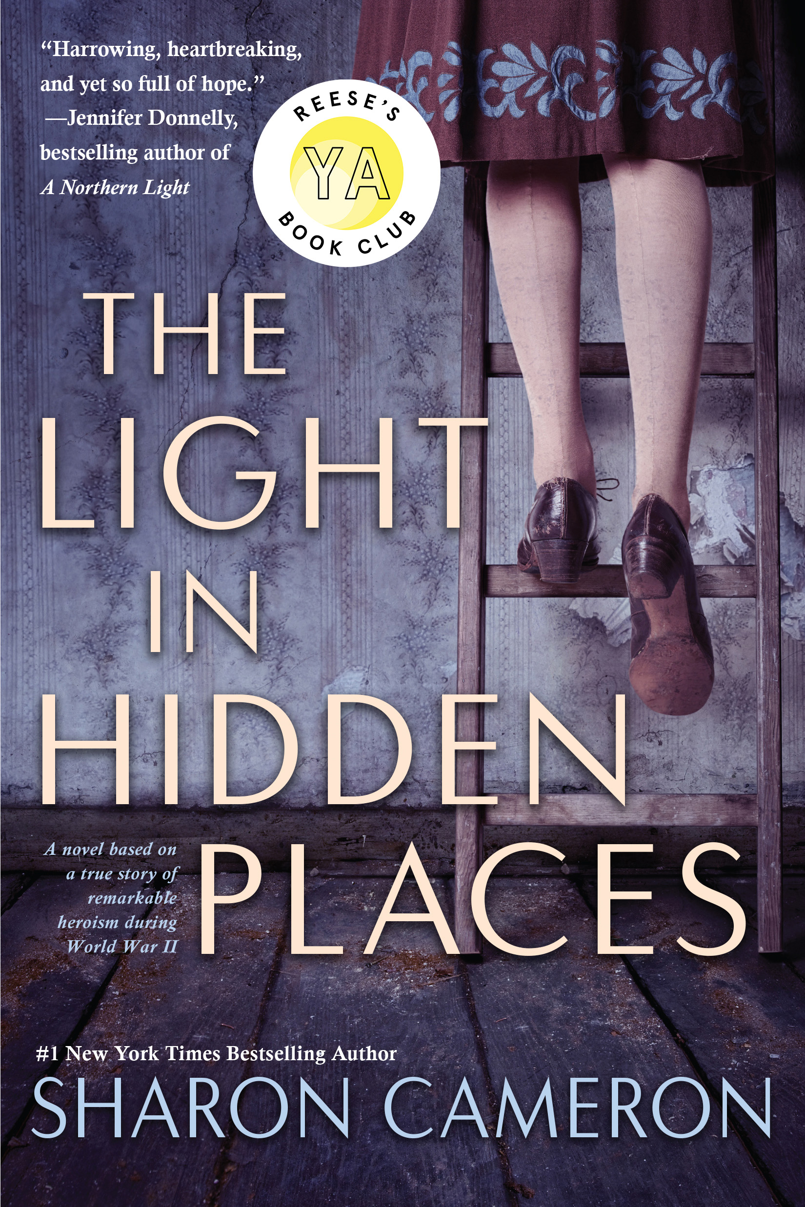 The Light in Hidden Places: A Novel Based on the True Story of Stefania Podgorska