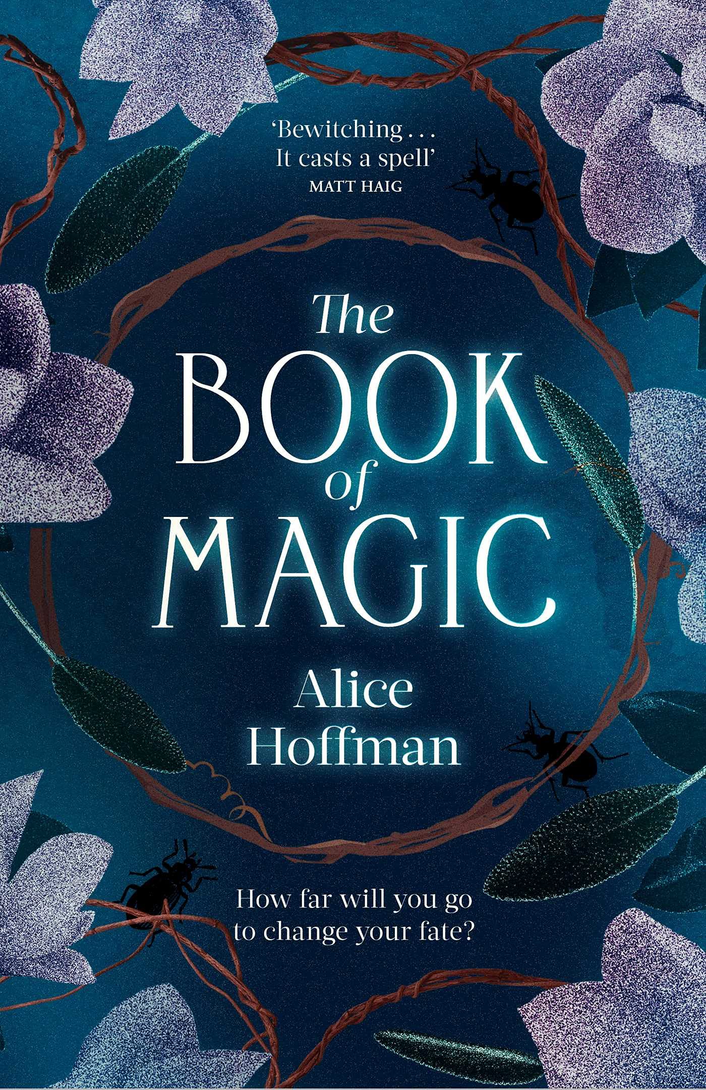 The Book of Magic (The Practical Magic Series, Band 4)