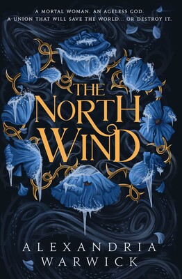 The North Wind: The TikTok sensation! An enthralling enemies-to-lovers romantasy, the first in the Four Winds series (Volume 1)