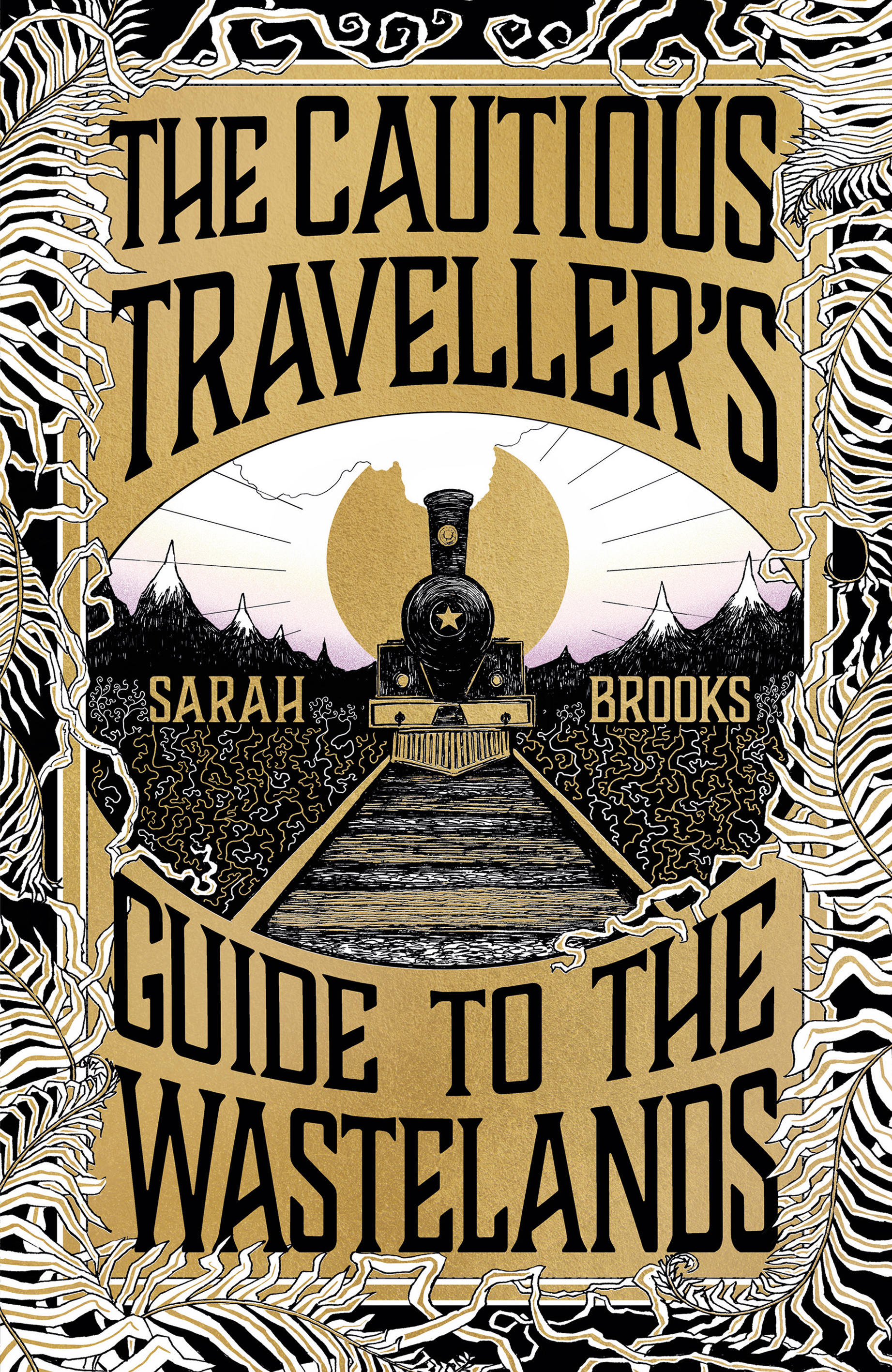 The Cautious Traveller's Guide to The Wastelands: THE INSTANT SUNDAY TIMES BESTSELLER