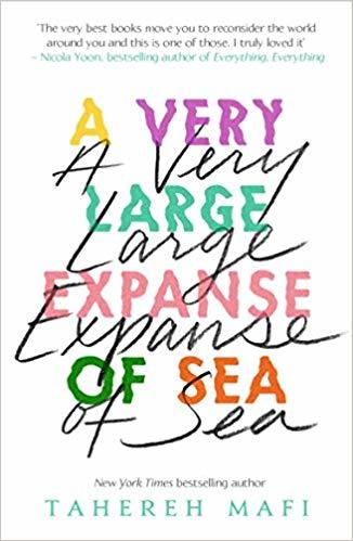 A Very Large Expanse of Sea: from the bestselling author of the TikTok Made Me Buy It sensation, Shatter Me