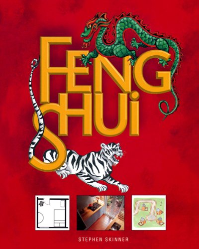 Feng Shui (Serie)