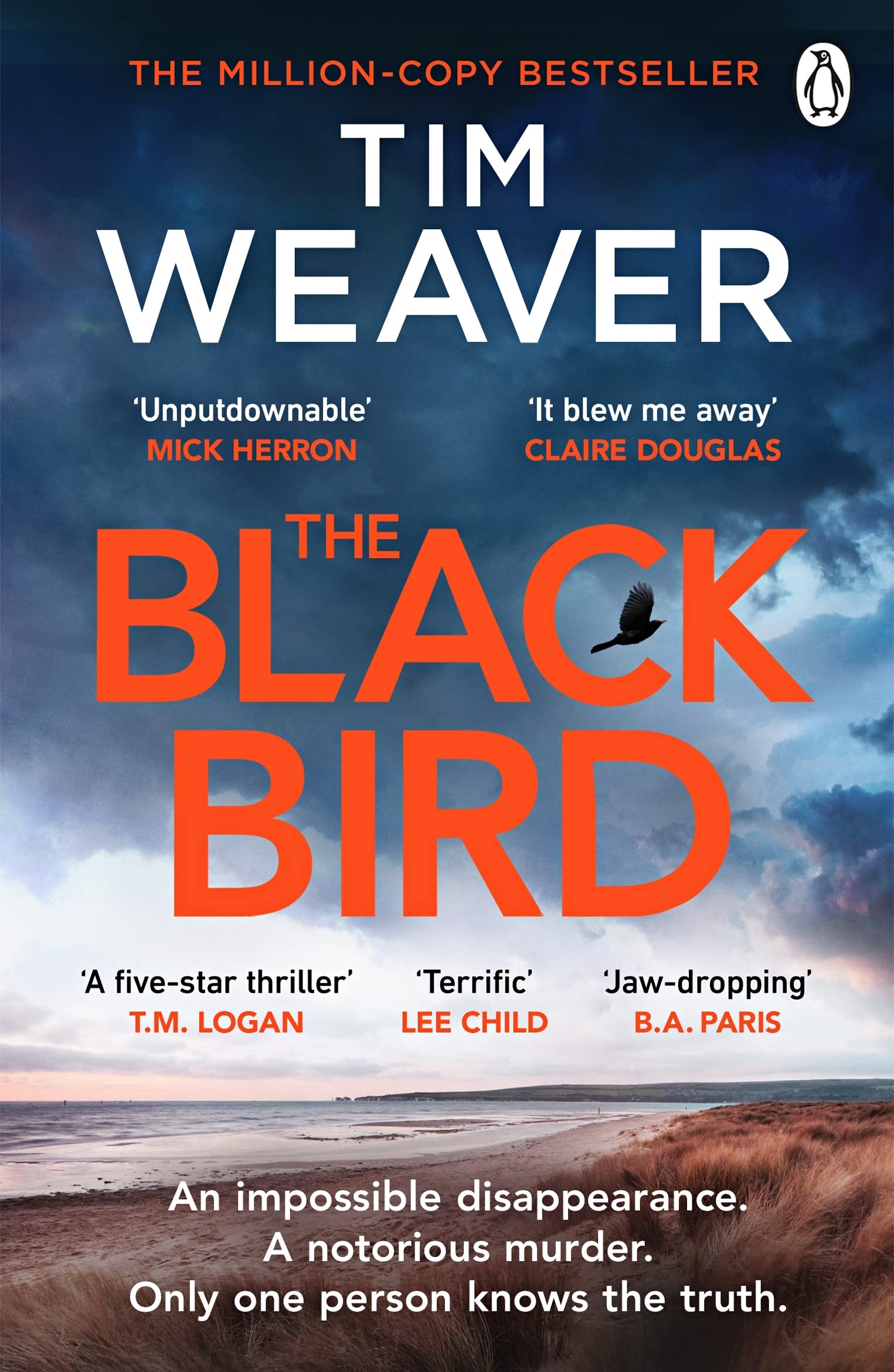 The Blackbird: The heart-pounding Sunday Times bestseller (David Raker Missing Persons 11)