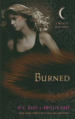 Burned (Thorndike Press Large Print Literacy Bridge Series, Band 7)