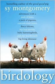 Birdology: Adventures with a Pack of Hens, a Peck of Pigeons, Cantankerous Crows, Fierce Falcons, Hip Hop Parrots, Baby Hummingbirds, and One Murderously Big Living Dinosaur (t)
