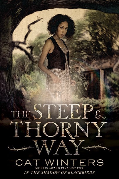 The Steep and Thorny Way: An Origami Yoda Activity Book: Cat Winters