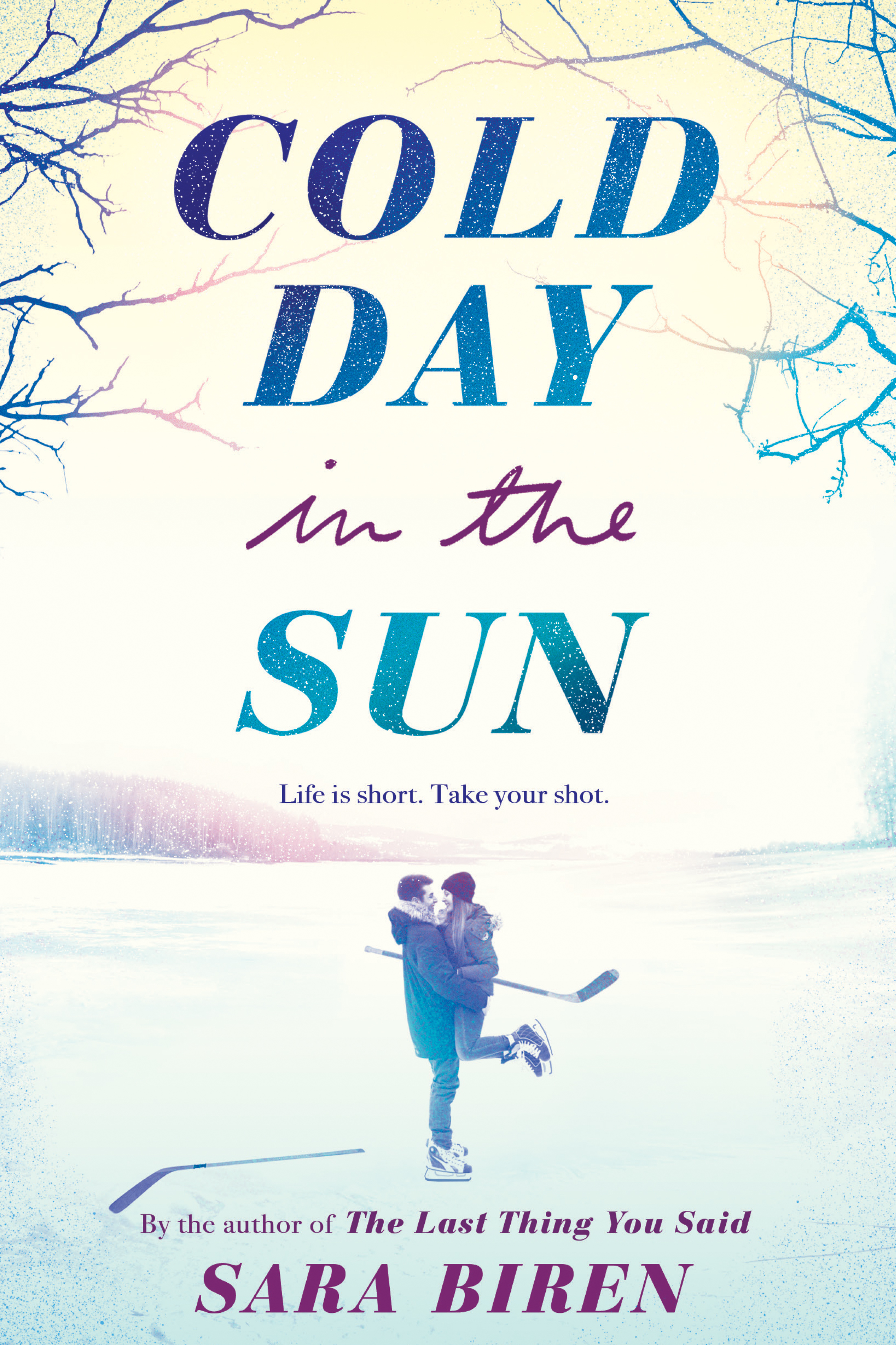 Biren, S: Cold Day in the Sun