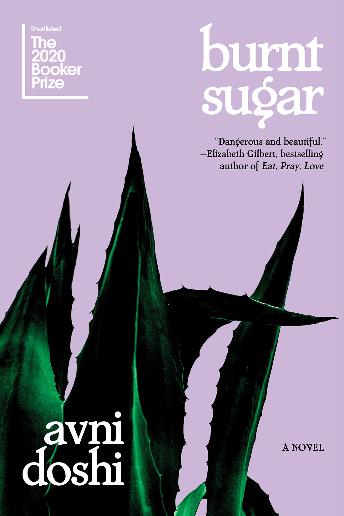 Burnt Sugar: A Novel