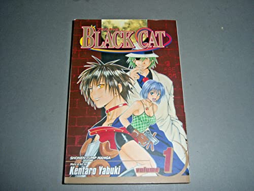 Black Cat, Vol. 1