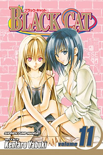 Black Cat, Vol. 11 (Volume 11): The Promise