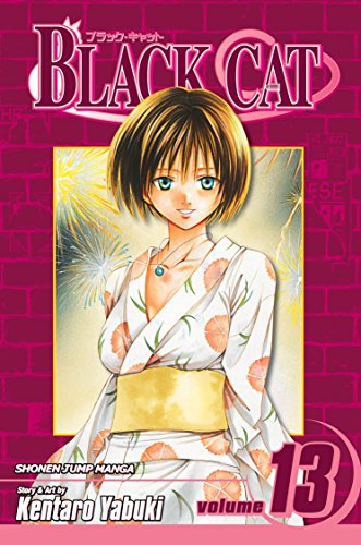 Black Cat, Vol. 13 (Volume 13): Dear Friend