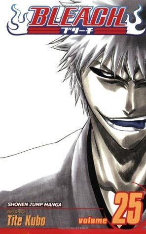Bleach Volume 25: No Shaking Throne (BLEACH GN, Band 25)