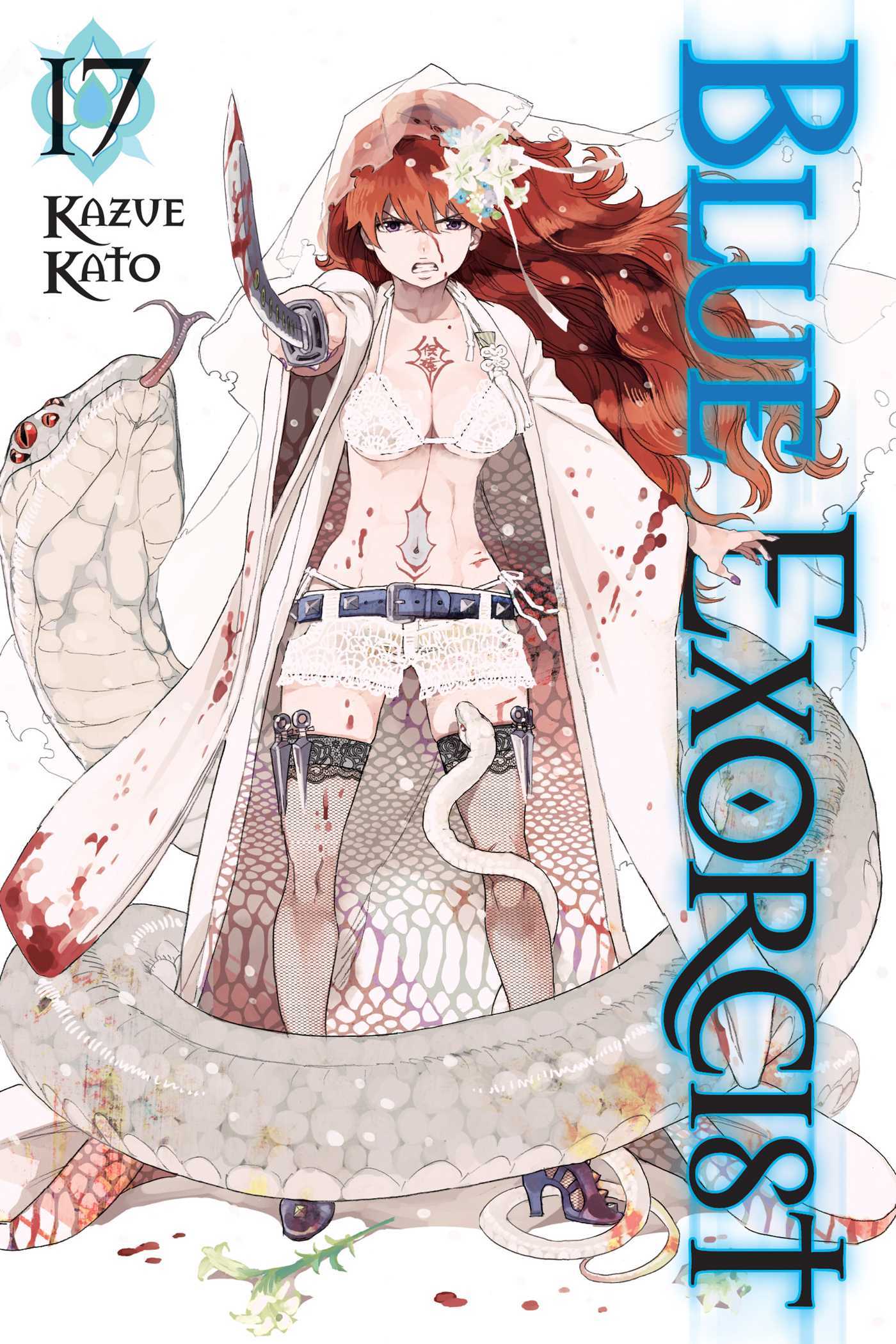 Blue Exorcist, Vol. 17 (BLUE EXORCIST GN, Band 17)