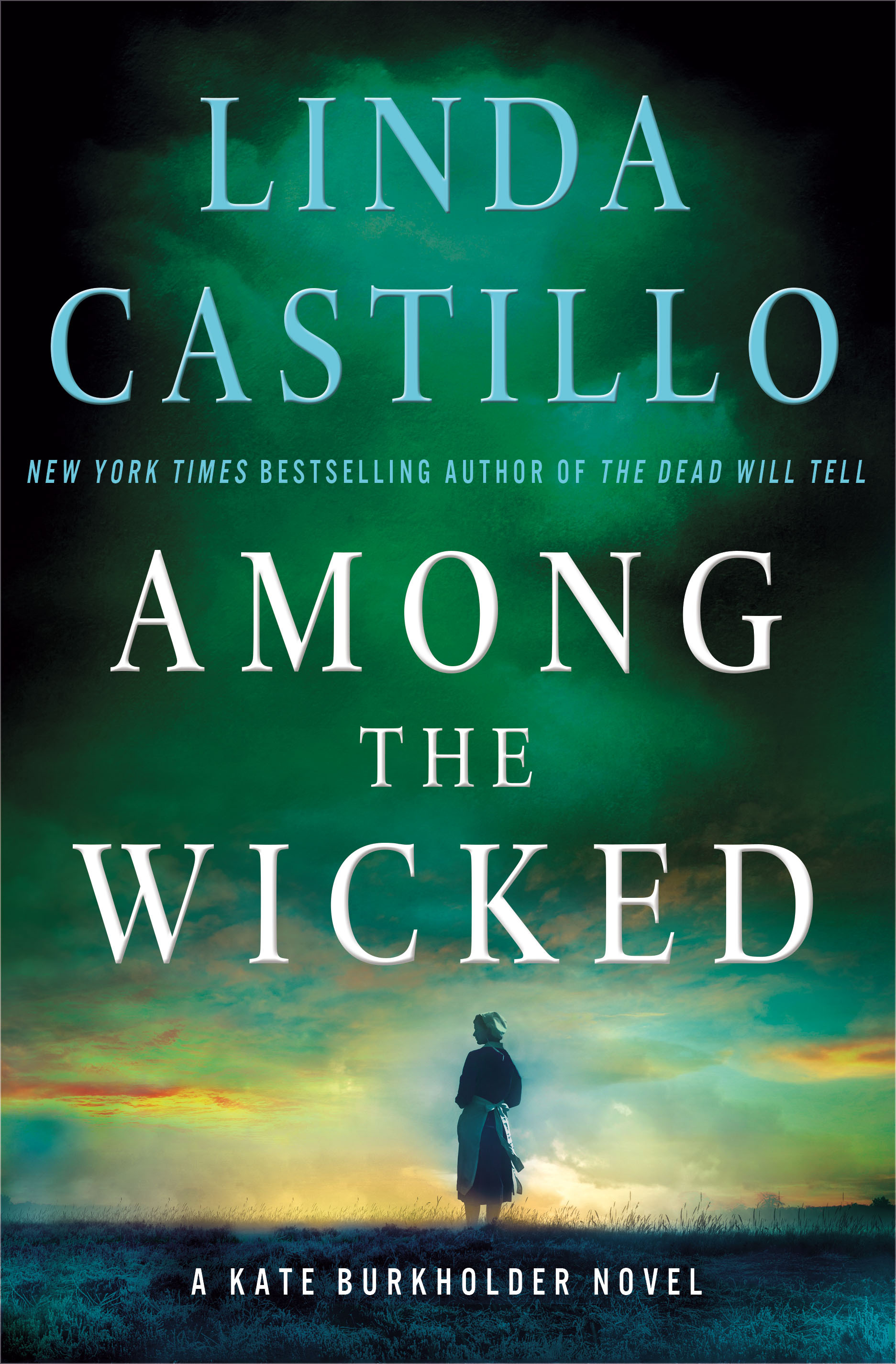 AMONG THE WICKED D (Kate Burkholder)